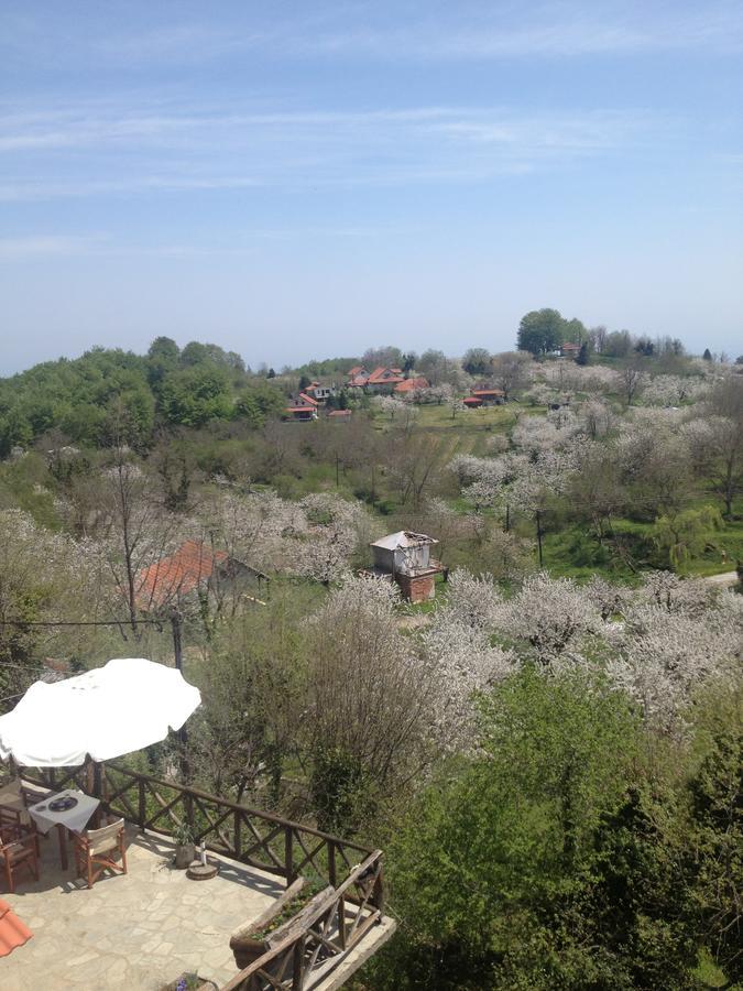 Hotel Arxontiko Agonari Metamorfosi  Exteriér fotografie